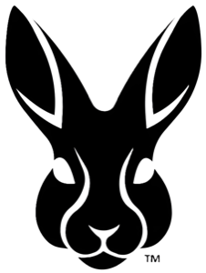 Rabbit Labs